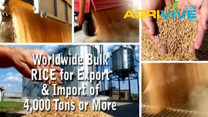 Buy Bulk Rice, Rice Exporting, Rice Exporters, Rice Exporter, Rice Exports, Rice Export