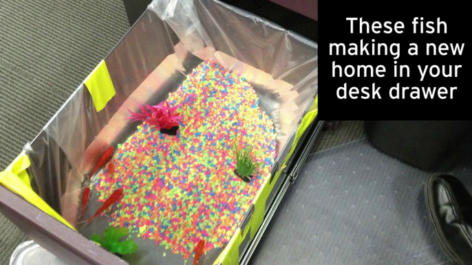 BuzzFeedVideo - 12 Evil Pranks Taken To The Next Level (Photos)