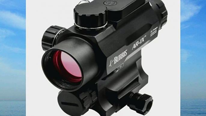 Burris AR-1X Prism Sight