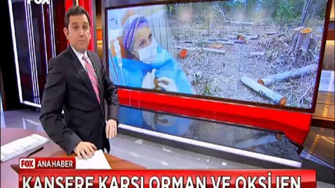 Kansere karşı Orman ve Oksijen Orman yoksa Kanser tehlikesi var