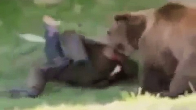 Horrible animal attacks on humans!!!  Ужасные нападения животных на людей!!!