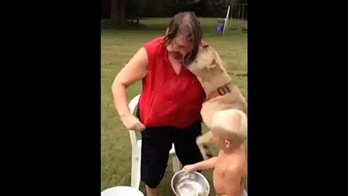 Grandmother is Viciously Attacked by a Pitbull During Ice Bucket Challenge