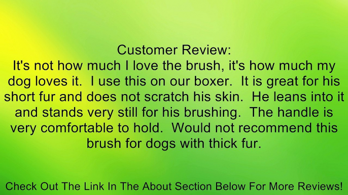 Kakadu Pet Bristle Brush Grooming Tool, Dog or Cat Brush Review