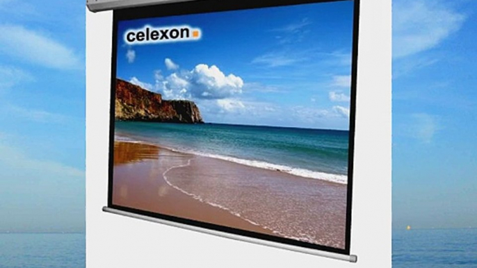 celexon Leinwand Motor Economy 200 x 150 cm