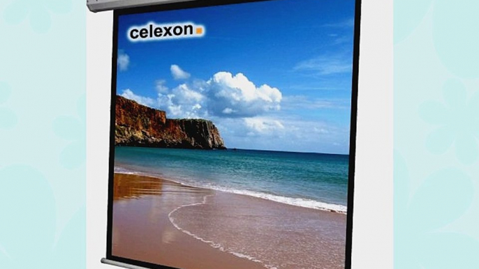 Celexon Leinwand Motor Economy 240 x 240 cm