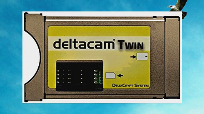 Deltacam Twin-CI-Modul