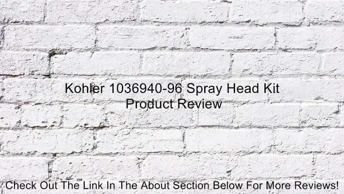 Kohler 1036940-96 Spray Head Kit Review