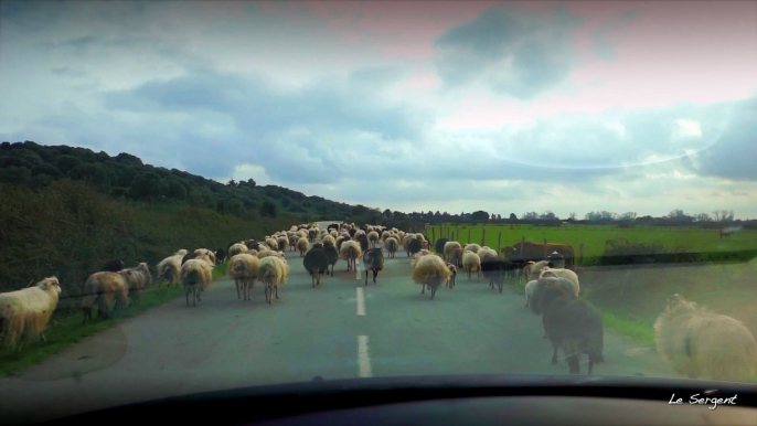 Une journée en Corse sur la route entre Sollacaro et Olmeto en Corse