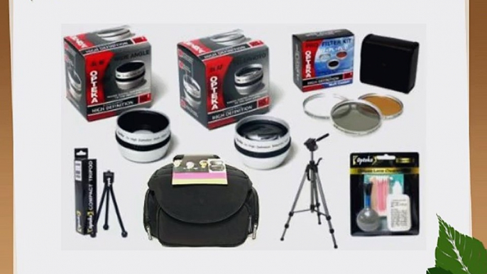 Canon ZR400 ZR300 ZR200 ZR100 MiniDV Digital HD2 Professional Accessory Kit