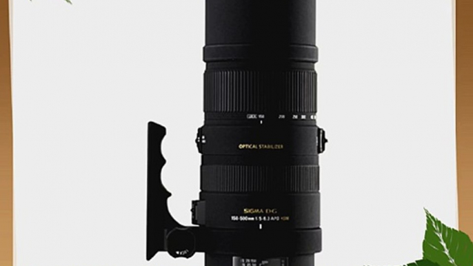 Sigma 150-500mm f/5-6.3 AF APO DG OS HSM Telephoto Zoom Lens for Pentax Digital SLR Cameras