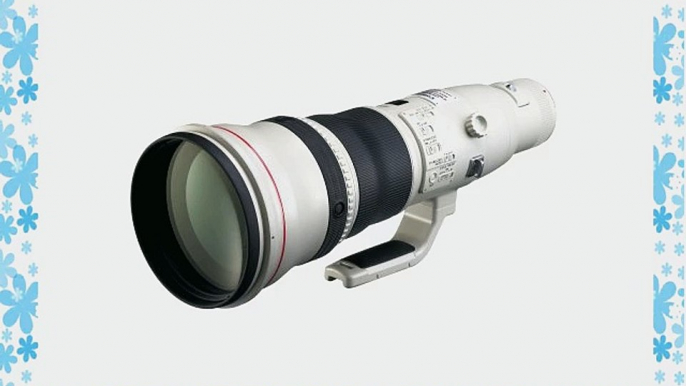 Canon EF 800mm f/5.6L IS USM Super Telephoto Lens for Canon Digital SLR Cameras