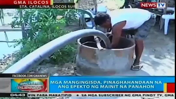 BP: Pating na napadpad sa baybayin sa Camarines Sur, nagluwal ng 28 pups bago namatay