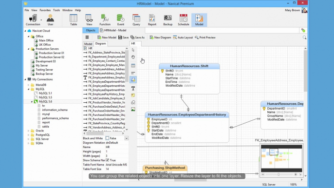 How to organize objects and embellish your database model in Navicat? (Windows & Linux)