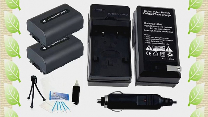 2-Pack NP-FH40 High-Capacity Replacement Batteries with Rapid Travel Charger for Sony DCR-DVD602