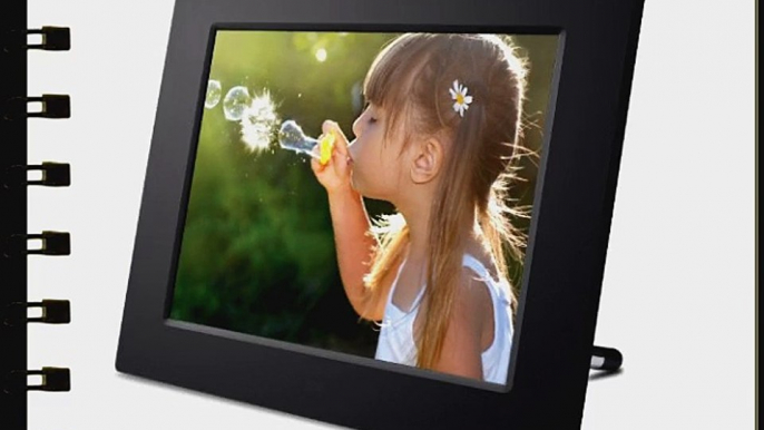 Viewsonic VFD823-50 8-Inch Digital Photo Frame with 800x600 High Resolution and Clock/Calendar