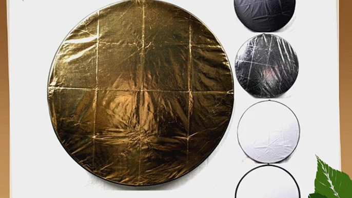 ePhoto 42REF 42-Inch 5 in 1 Collapsible Round Multi Disc Light Reflector with Silver Translucent