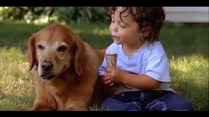 Sharing is caring! Toddlers share ice cream with pet dogs