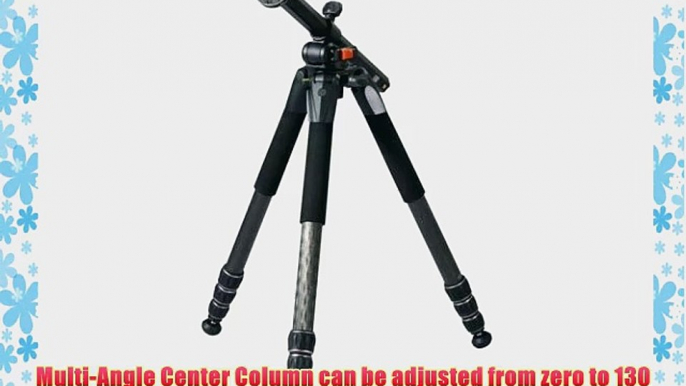 Vanguard Alta Pro 284CT Carbon Fiber Tripod Legs with Multi-Angle Central Column System