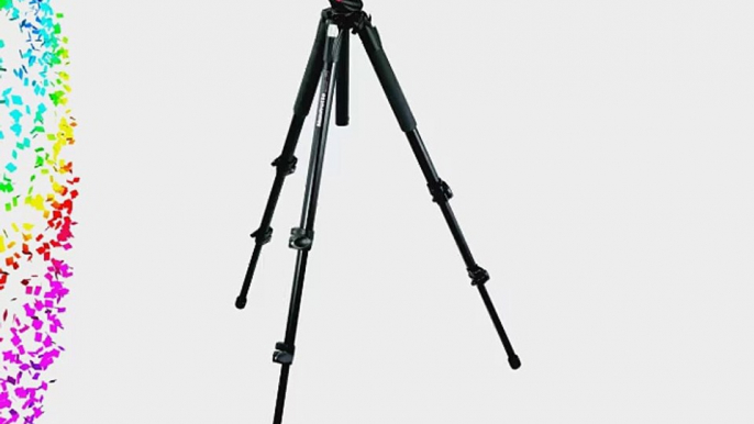 Manfrotto 190XPROB Tripod and 496RC2 Head (Black)