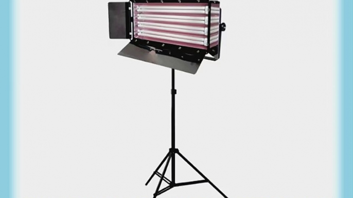 LimoStudio Photo Video Studio Lighting 550W Digital Light Fluroescent 4-Bank Barndoor Light