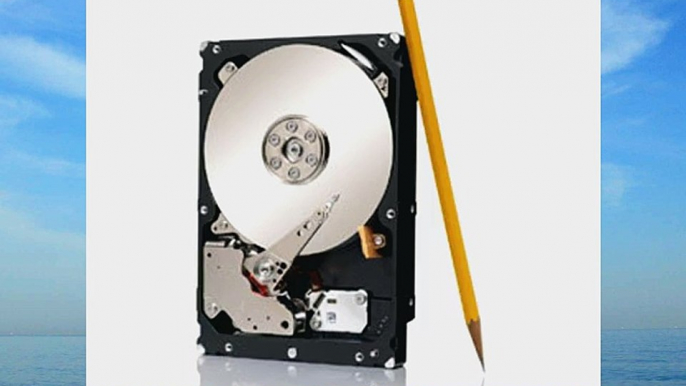 Seagate ES.2 ST33000650NS 3TB 64MB 600Mbps SATA III Hard Drive