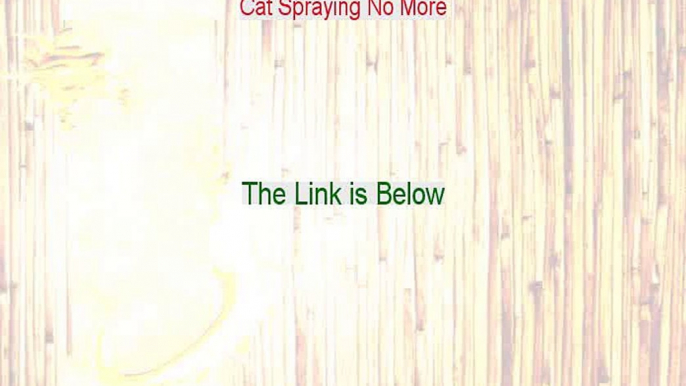 Cat Spraying No More Review [Watch my Review]