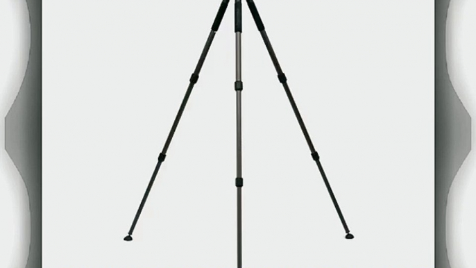 Induro Tripods 476-333 LFBC333S Carbon 8X 75mm Bowl Video Tripod (Black)