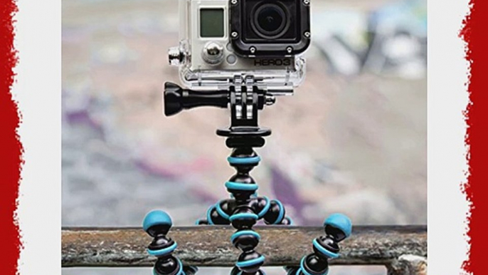 Gorillapod Flexible Tripod (Black/Fuchsia) For Action Cameras and a Bonus GoPro Mount Adapter