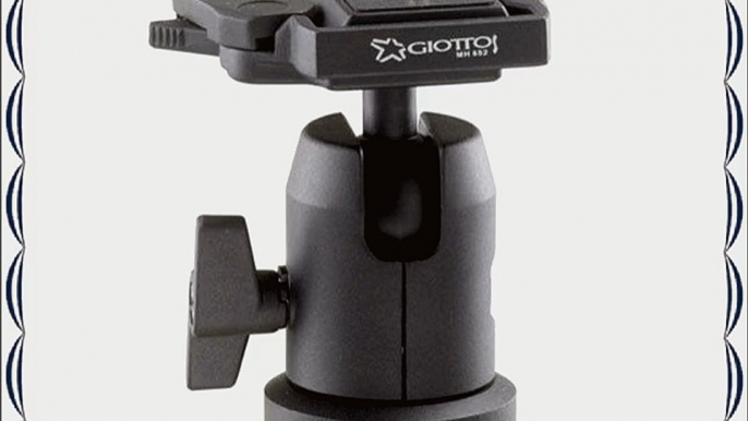 Giottos MH7001-652 Ball Head (Black)