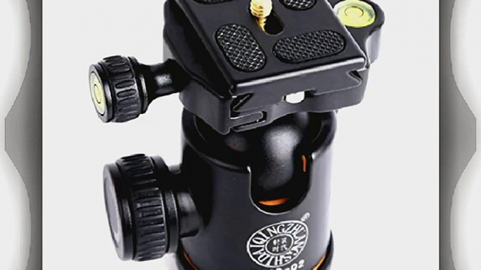 Sinvitron Qzsd-02 Aluminum Tripod Ball Head Ballhead   Quick Release Plate Pro Camera Tripod