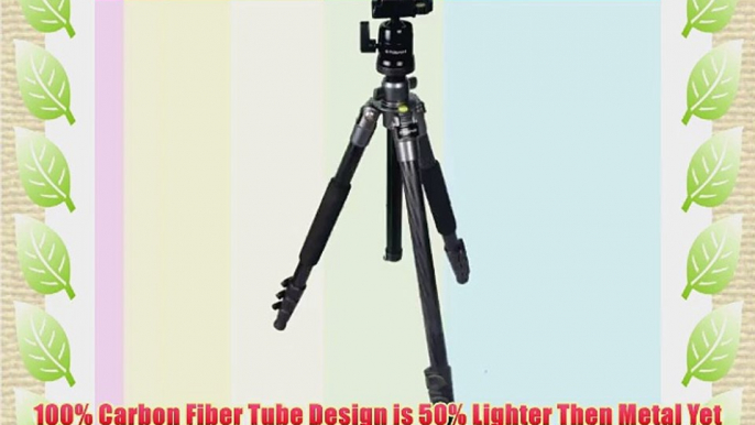 Polaroid 65 Pro Carbon Fiber Tripod With Removeable Ballhead Includes Deluxe Tripod Carrying