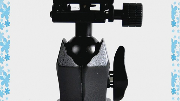 CowboyStudio FT6692AH Photography Heavy Duty Camera Tripod Action Ball Head Quick Release Plate