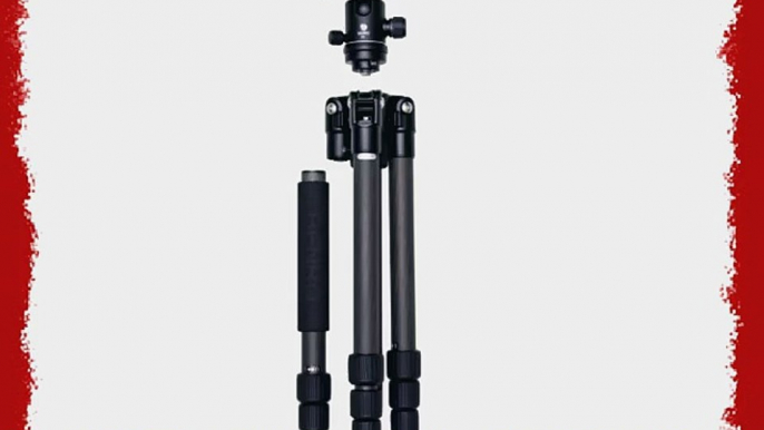 Benro C0691T Travel Angel Transfunctional Tripod Kit with Carbon Fiber Twist Lock Legs with