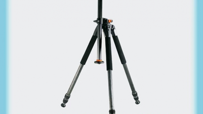 Vanguard Alta Pro 253CT Carbon Fiber Tripod Legs with Multi-Angle Central Column System