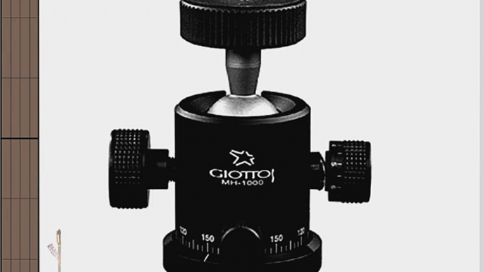 Giottos MH1000-300 Large Ball Head with Tension Control