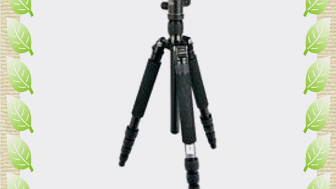 Giottos VGR9255-S2C 5-Sec. Aluminum Tripod With MH5310-655S ARCA Compatible QR Ballhead