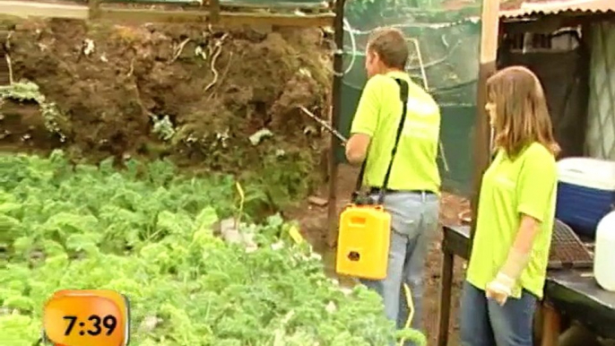 Emprendedor demuestra que no necesita mucho espacio para cultivar sus propios alimentos