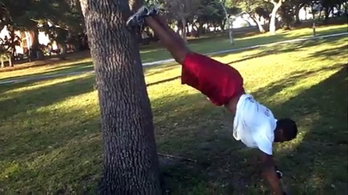 Deep Impact Fitness Hanging pushup