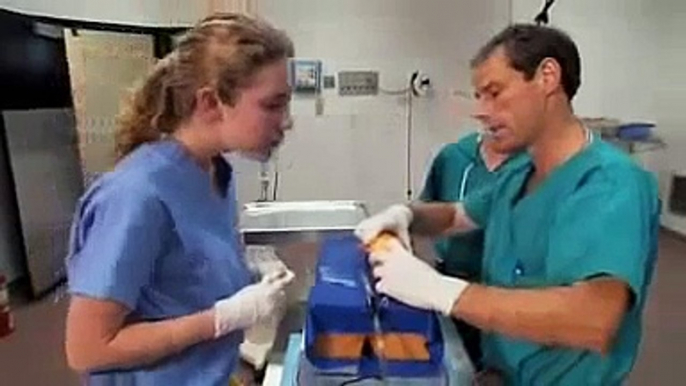 ANIMAL SURGERY   NOVA SCIENCE NOW   Discovery Life Health documentary