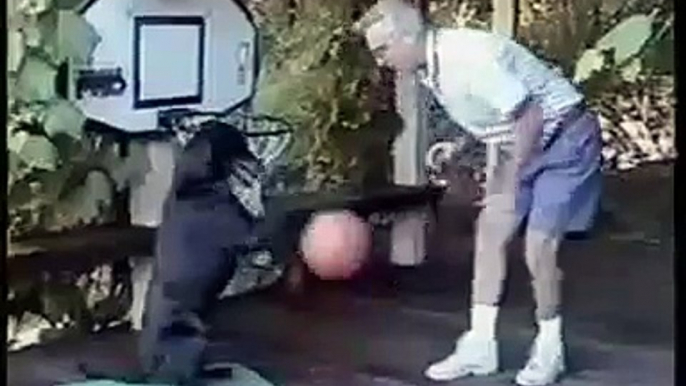 Dog playing the Basket Ball sincerely in very very Funny way