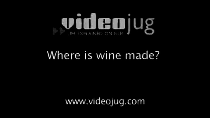 Where is wine made?: Wines Explained