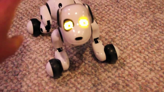 Zoomer The Interactive Robotic Pet. Hands-On Review of The Zoomer Dog From Spin Master