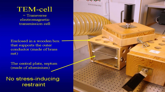 Electromagnetic Fields and Leakage of the Blood Brain Barrier: Dr. Leif Salford