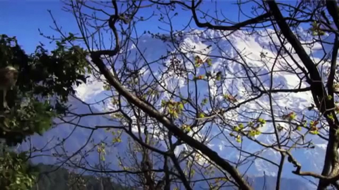 Himalayan Mountains Documentary: History of this Beautiful Mountain Range, Nature Documentary.