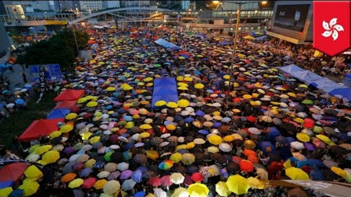 Occupy Central Hong Kong: How police may clear Umbrella Revolution protest site in Admiralty