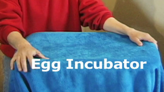 Simple Homemade Egg Incubator idea