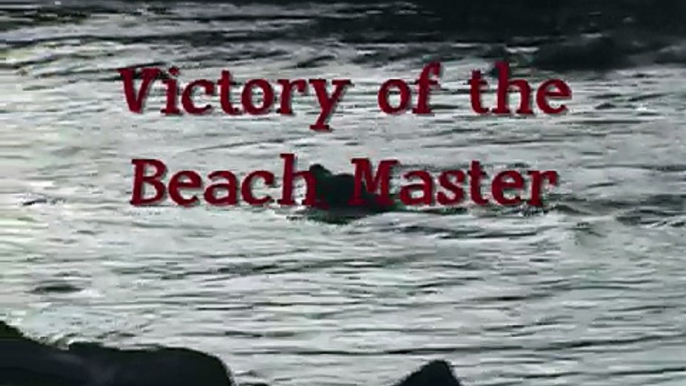 Victory of the Beach Master, Galapagos Islands