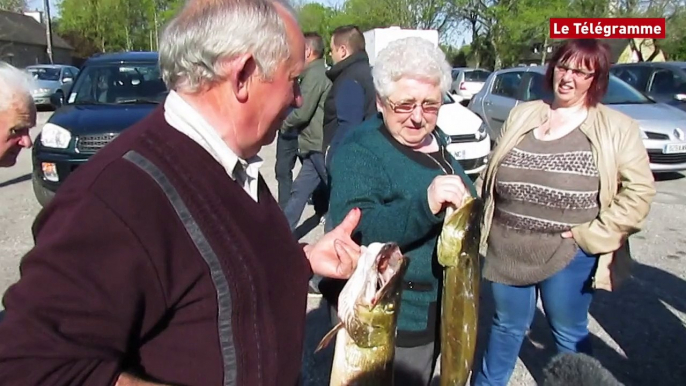 Lac de Guerlédan. Une belle vente de poissons