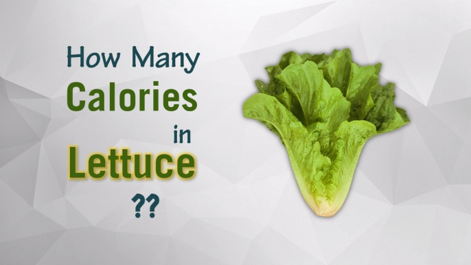 Healthwise: How Many Calories in Lettuce? Diet Calories, Calories Intake and Healthy Weight Loss