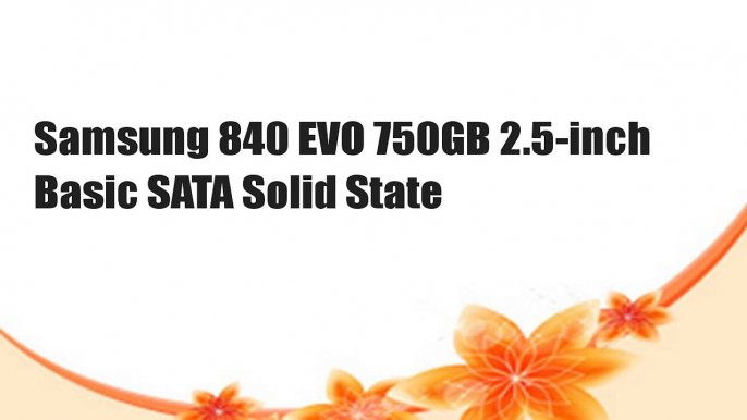 Samsung 840 EVO 750GB 2.5-inch Basic SATA Solid State